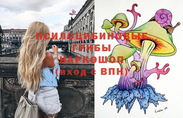 круглые Аркадак