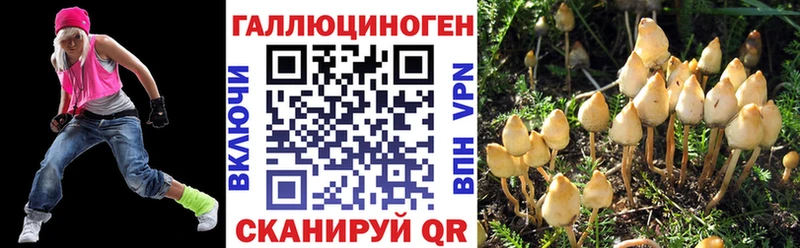 Купить где  Туапсе  Псилоцибиновые грибы Cubensis 